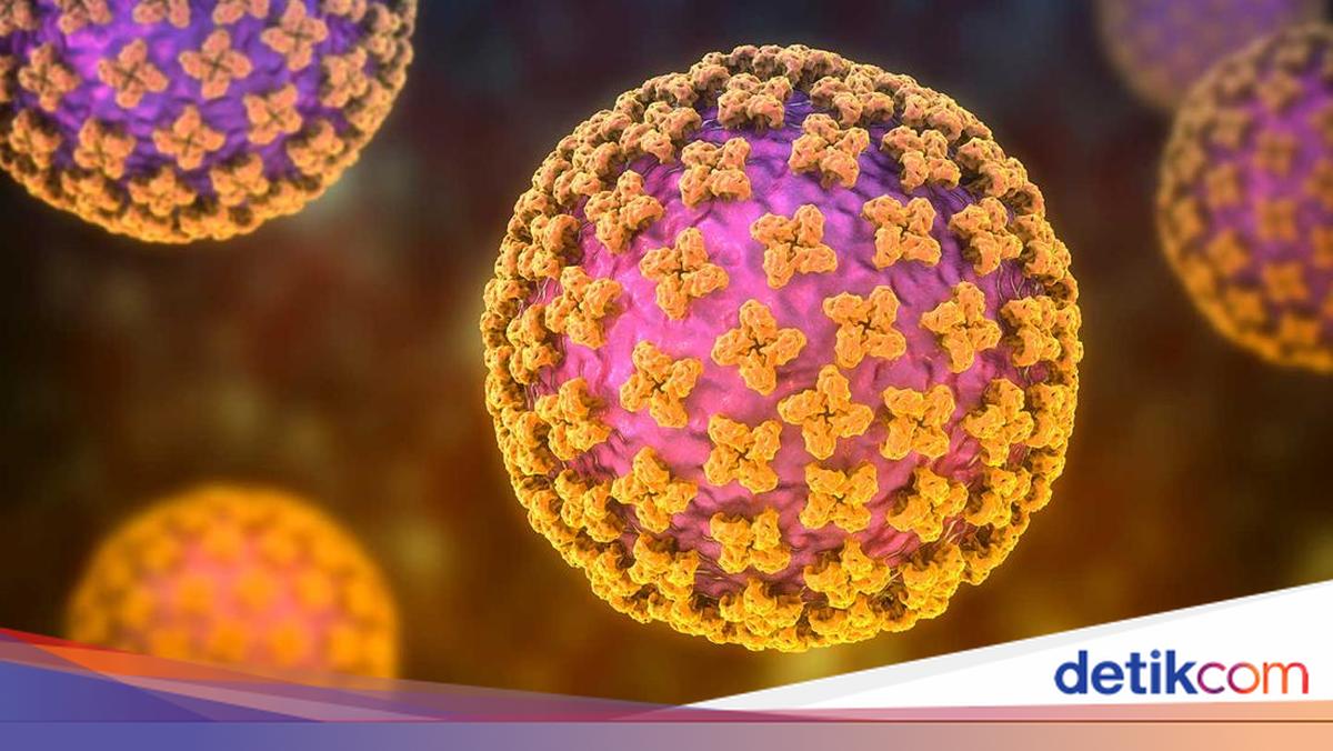 Kasus Suspek Hantavirus di Kulon Progo Dipastikan Negatif