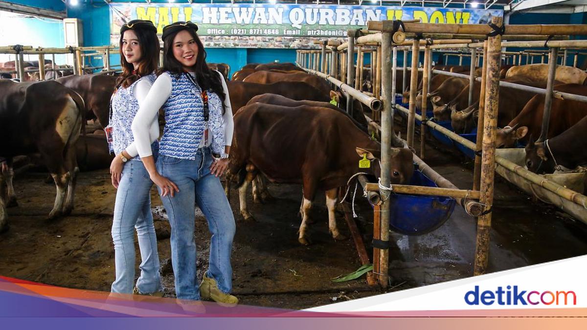 SPG Pramugari Jadi Daya Tarik Mal Hewan Kurban Depok