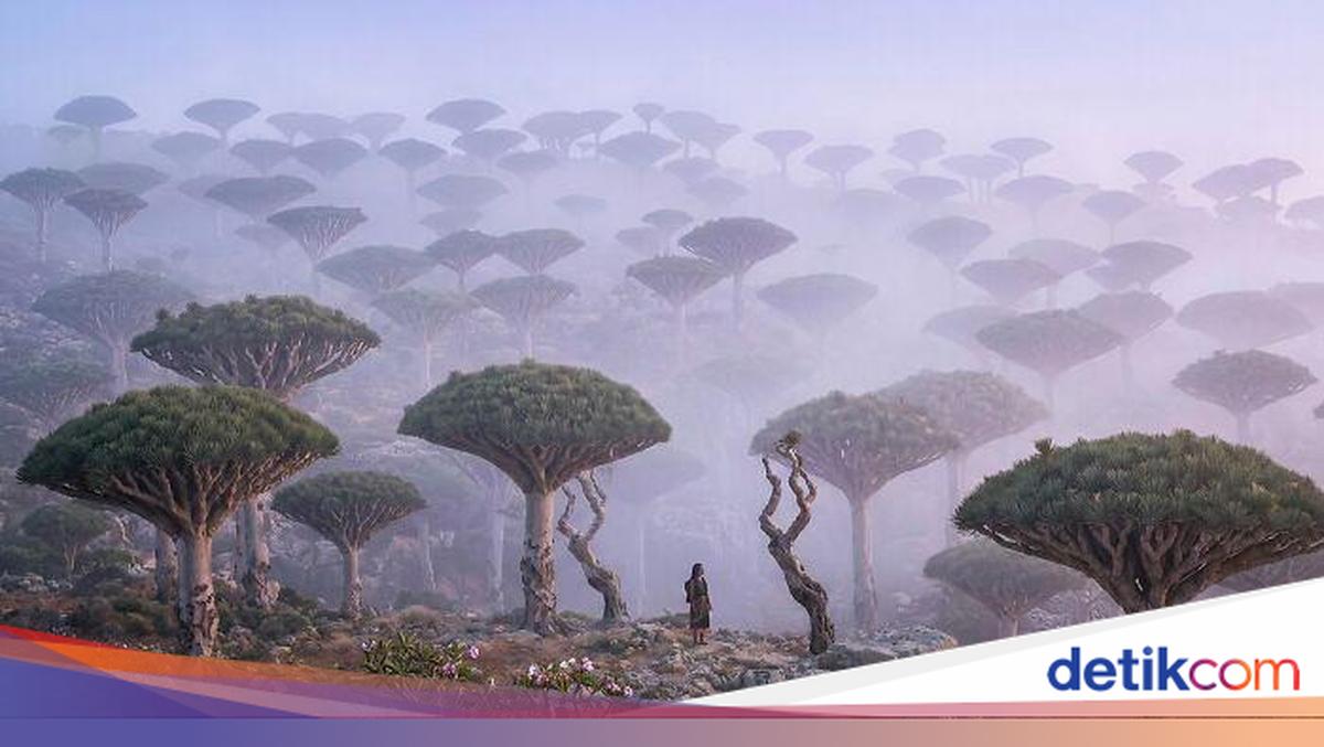 15 Foto Yang Bikin Kamu Ngira Ini Planet Lain, Padahal Masih Di Bumi