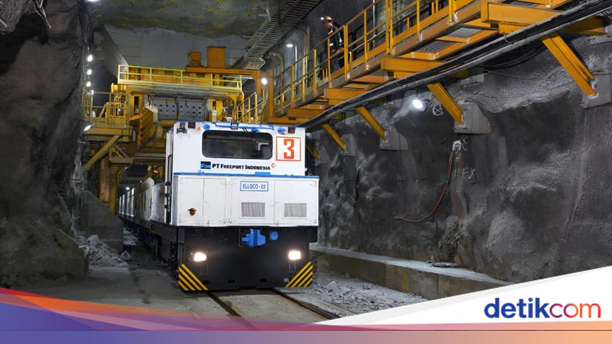 Ekonom Sebut Setoran Freeport ke Negara Signifikan