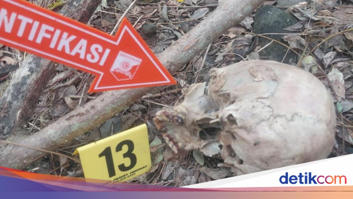 Hilang Sejak April, Pria Malaka Ditemukan Tersisa Tengkorak di Hutan