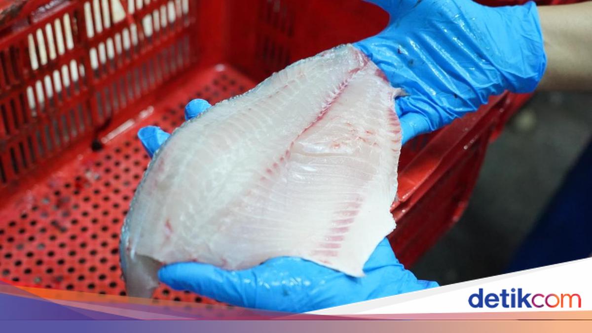 Tembus Pasar Perikanan Eropa, Ikan Nila Jadi Andalan Baru Indonesia