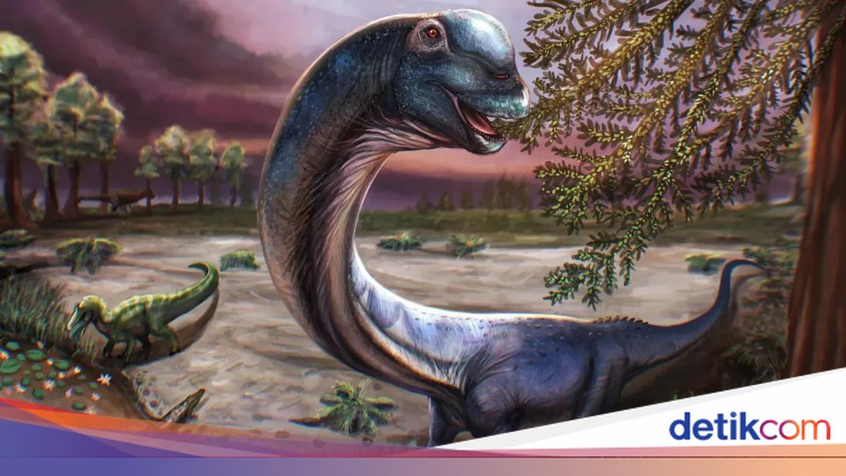 Peneliti Identifikasi Dinosaurus Raksasa Sebesar Paus Biru Di Thailand