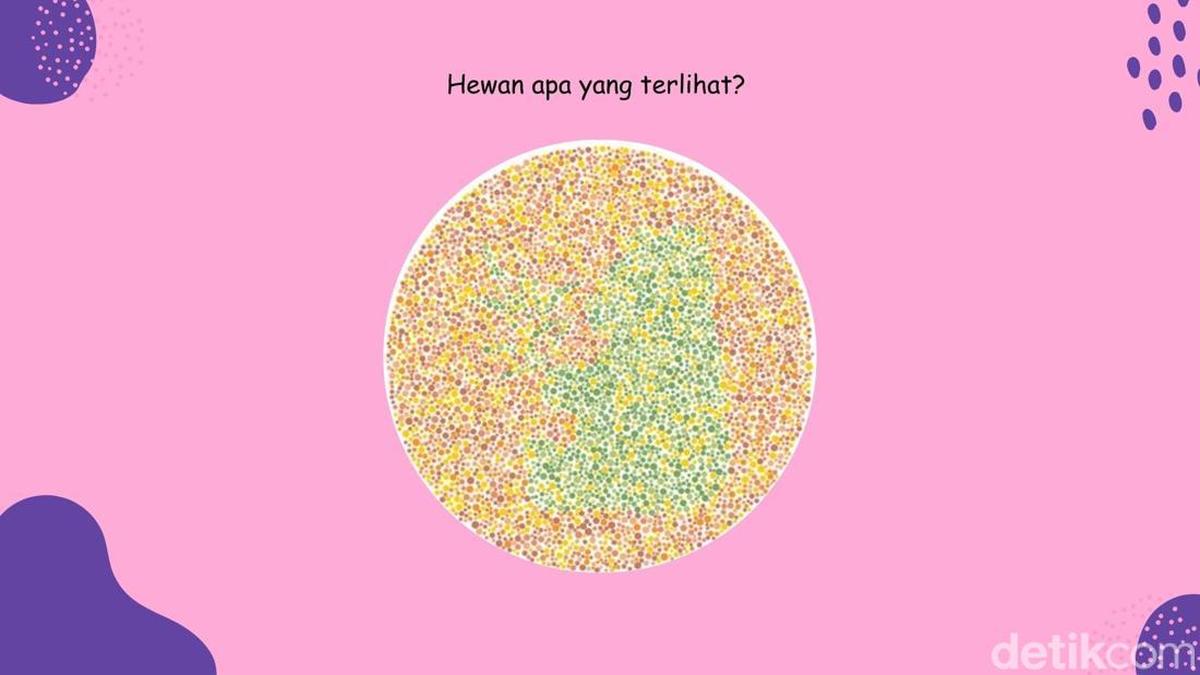 Tak Semua Orang Bisa Temukan Panda Di Gambar Ini, Ada Yang Lihat Ikan Sapu-sapu?