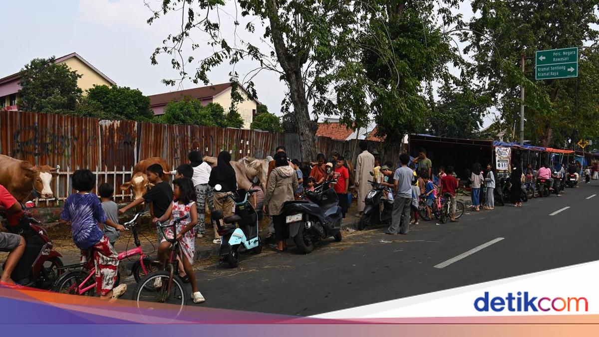 DKI Larang Lapak Hewan Kurban di Atas Trotoar