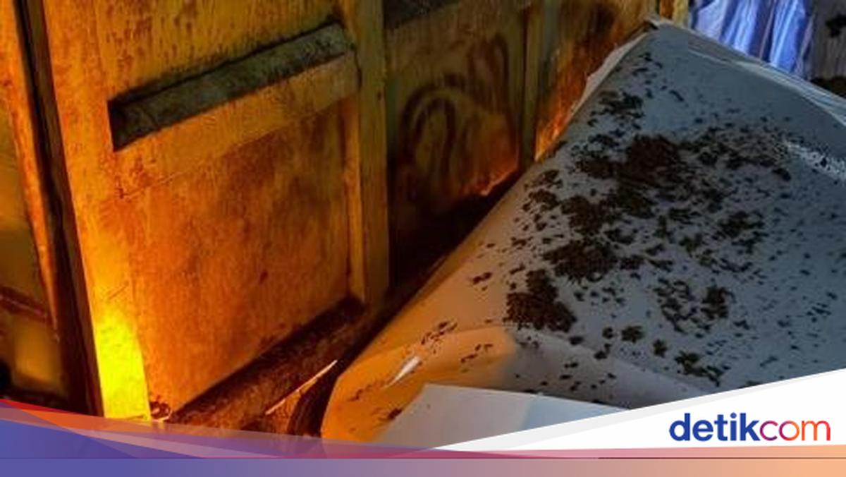 Wagub Sumbar Alami Kecelakaan, Mobil Ringsek Usai Tabrak Truk