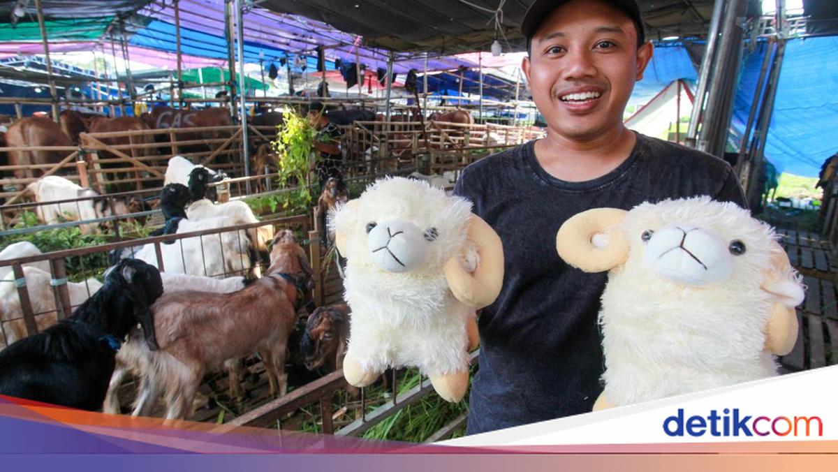 Beli Hewan Kurban Gratis Boneka Domba