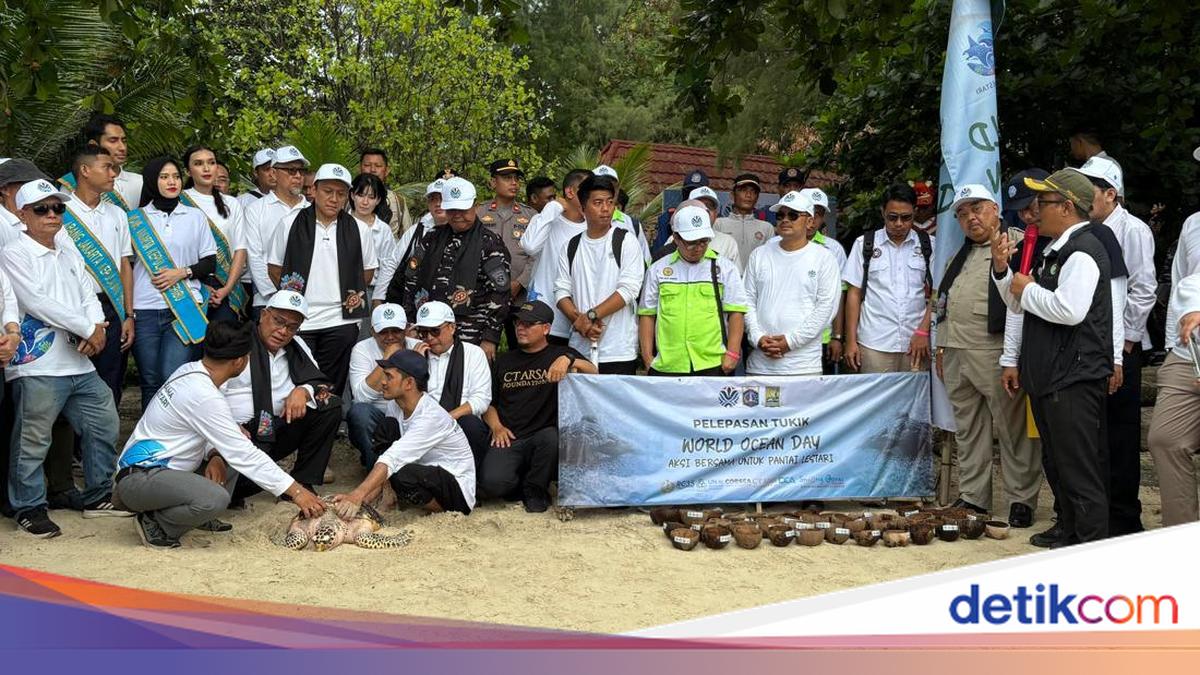 Peringati World Ocean Day 2026, Menteri LH Bertekad Lindungi Ekosistem Laut