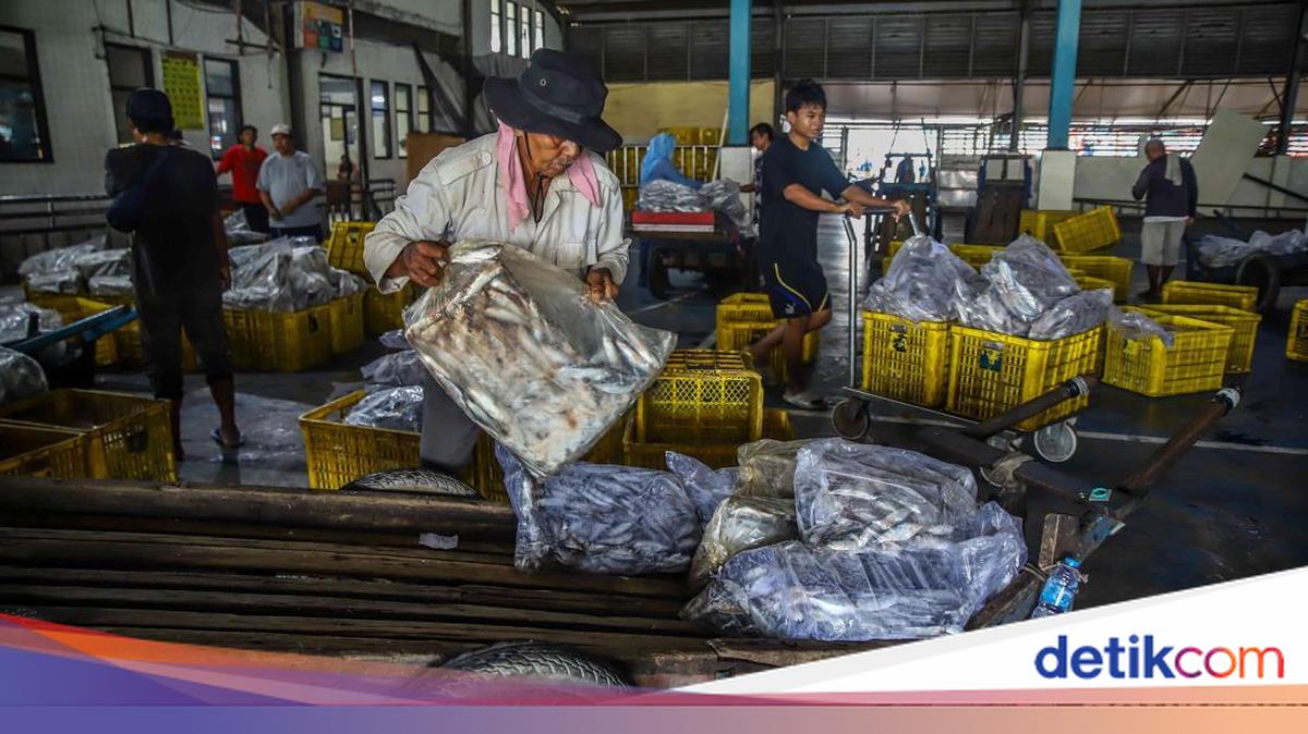 Muara Angke Bergeliat, KKP Bidik 10,57 Juta Ton Ikan