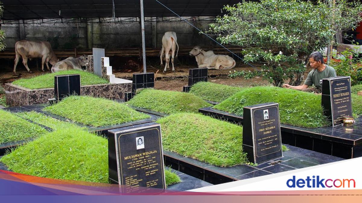 Lahan Pemakaman Disulap Jadi Lapak Jualan Hewan Kurban