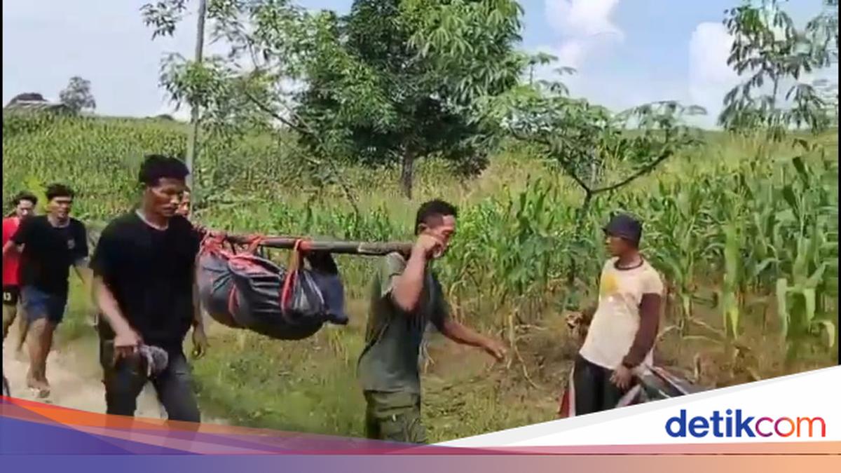 Ikut Bersihkan Jeroan Hewan Kurban, 2 Bocah Pemalang Tewas Tenggelam di Sungai