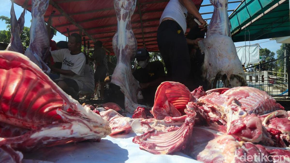 Nanas Dan Daun Pepaya Bisa Empukkan Daging Alot? Begini Kata Pakar Tekpang Ipb