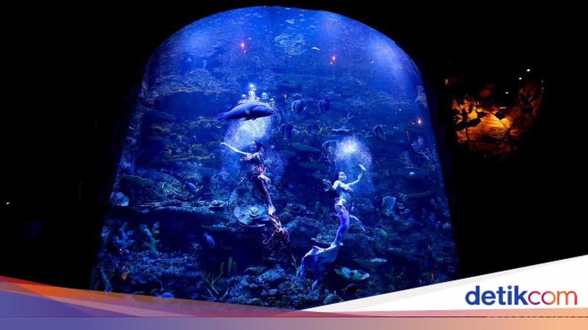 Mengisi Libur Panjang di Wisata Oceanium