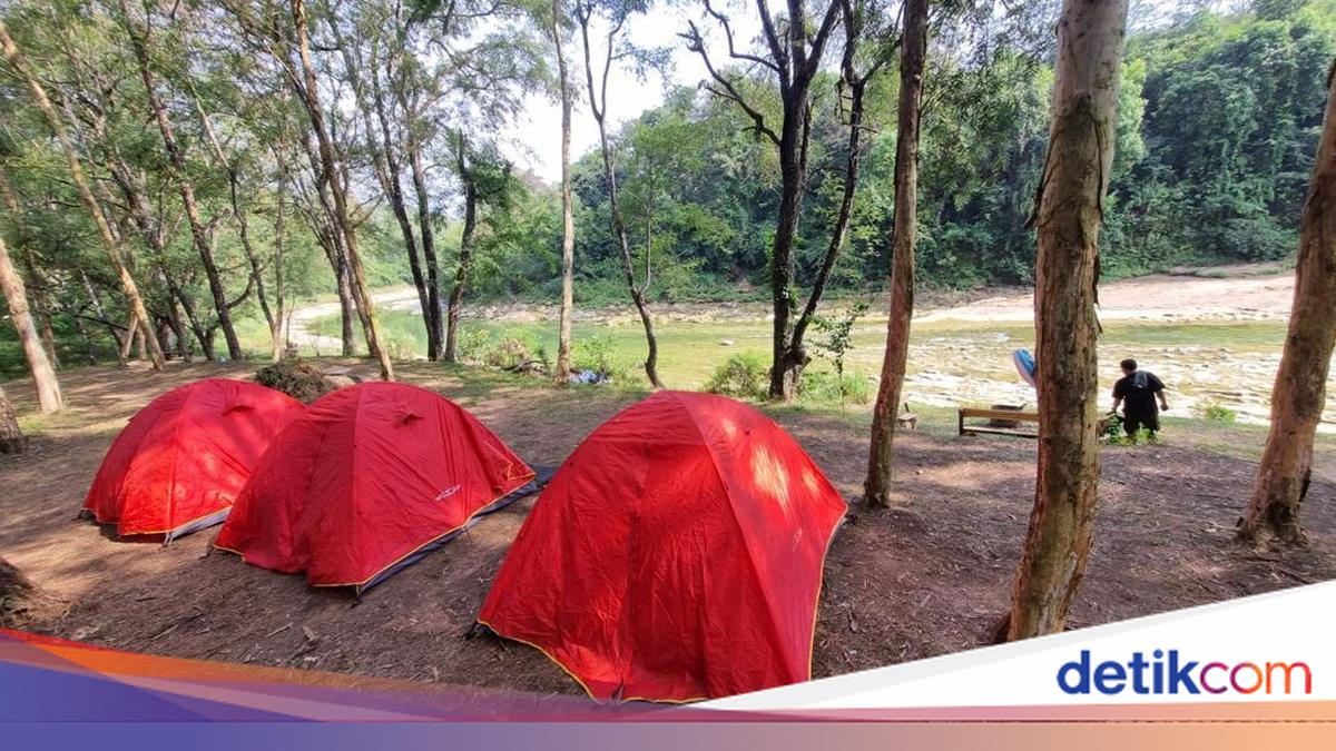 Piknik Seru di Tahura Bunder Gunungkidul, Bisa Tracking Sambil Lihat Rusa