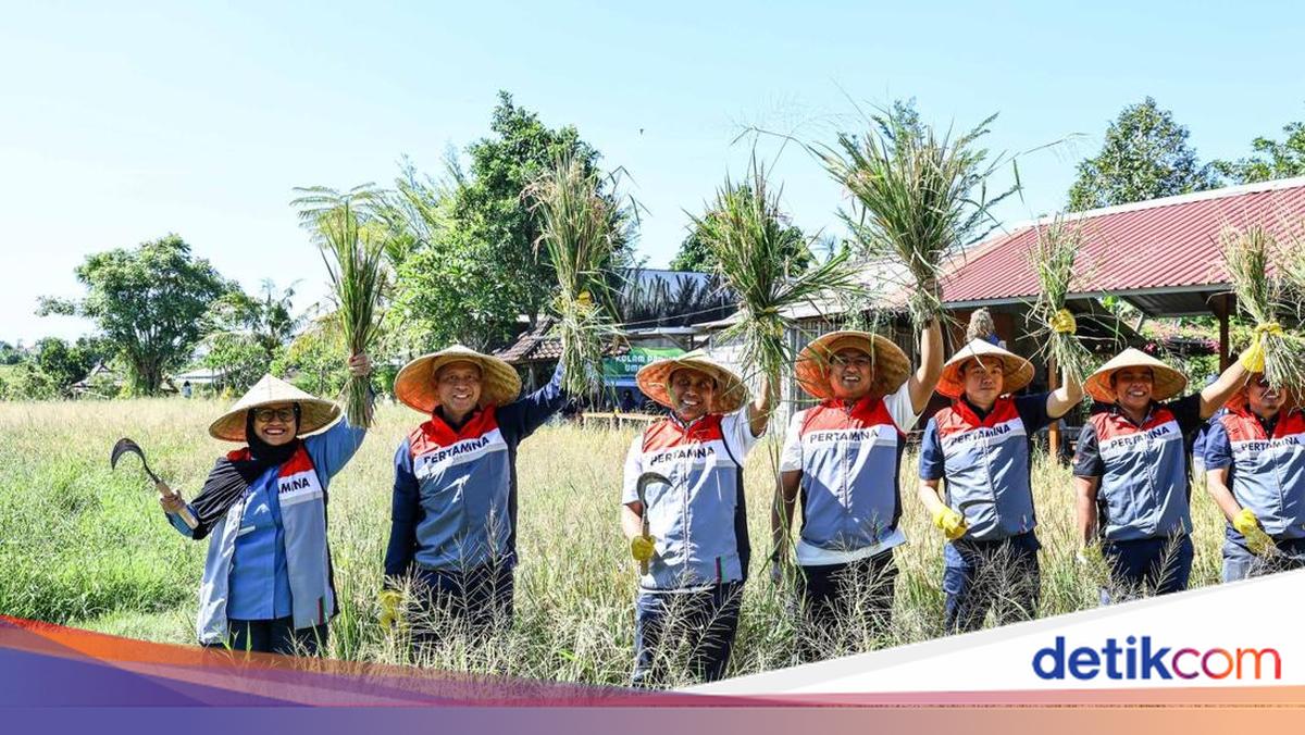 Komisaris Pertamina Tinjau CSR EBT di Bali — Nanik S Deyang Kini Pimpin BGN