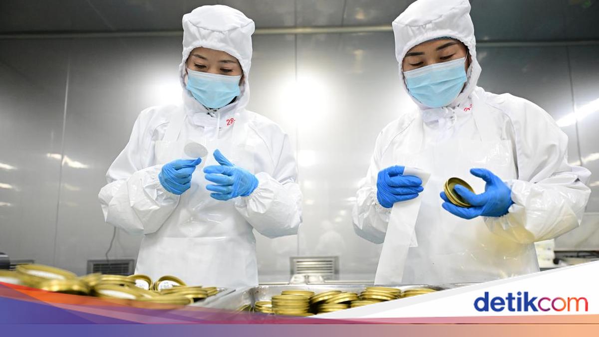 Budidaya Sturgeon Dongkrak Produksi Kaviar