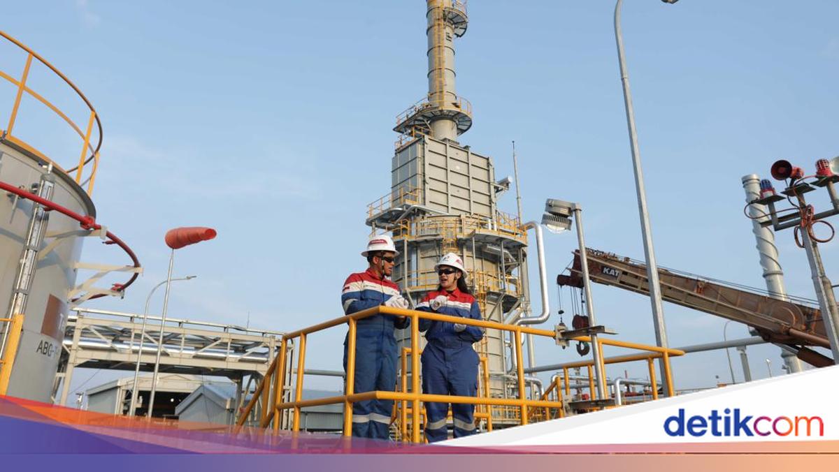 Pertamina EP Temukan 133 MMBOE Cadangan Baru di Tengah Tekanan Defisit dan Harga Minyak Tinggi