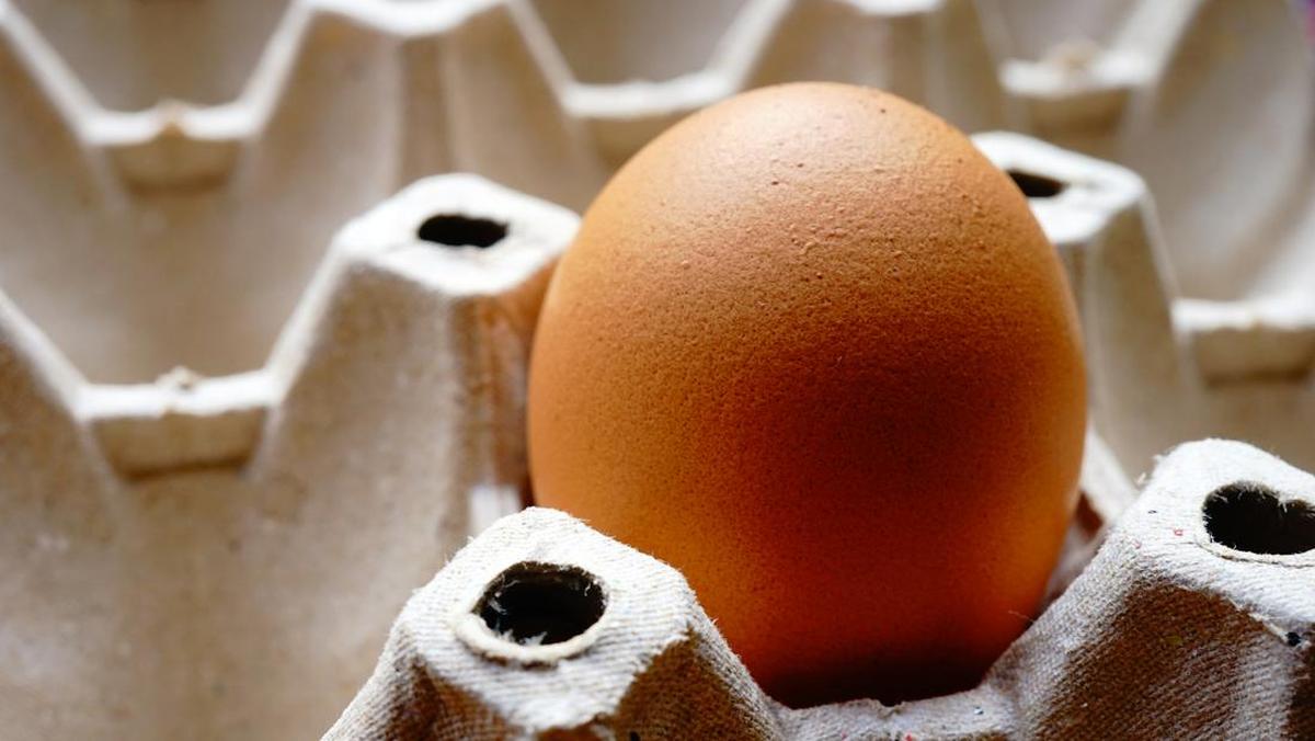 Telur Omega-3: Manfaat Dan Perbedaannya Dibanding Telur Biasa