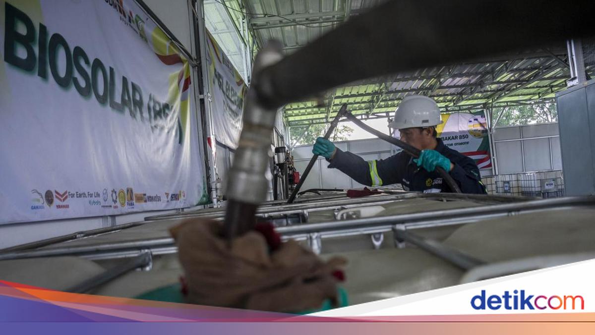 B50 1 Juli Bakal Ganggu Pasokan Minyak Goreng? Ini Jawaban ESDM