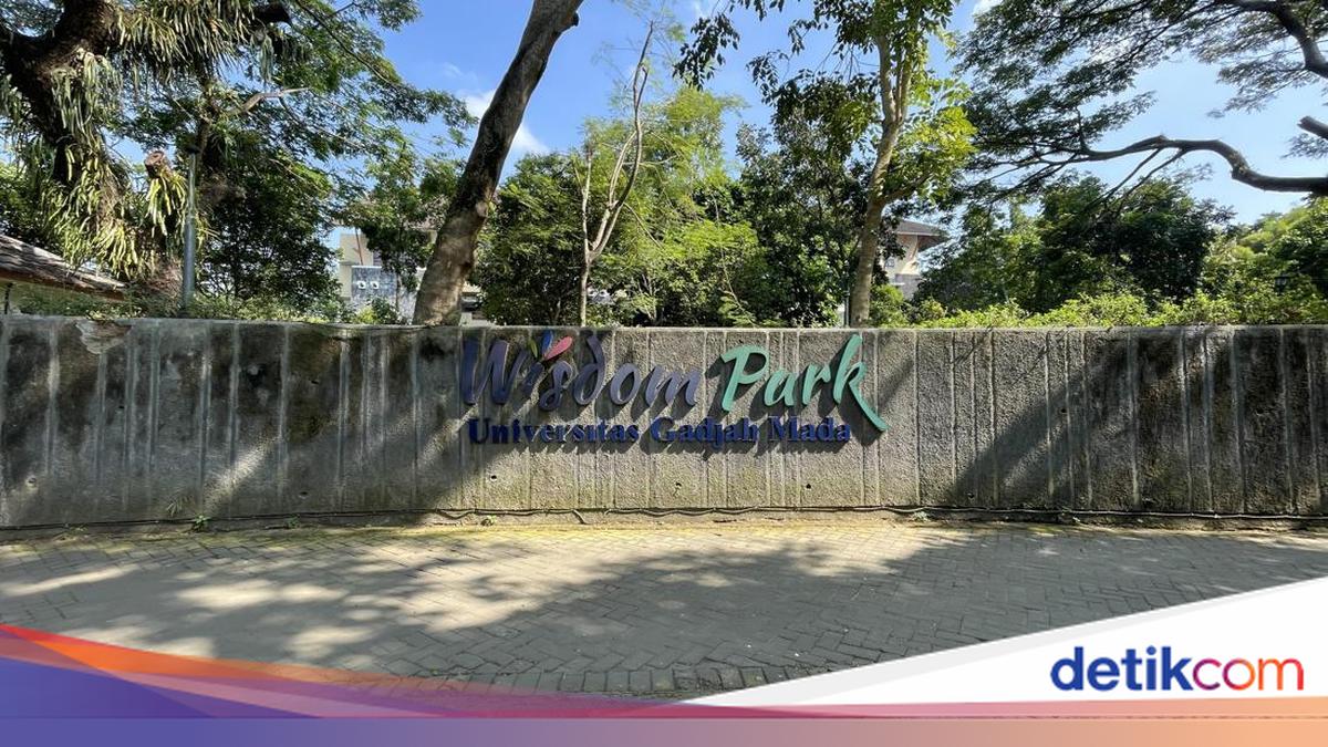 Cerita Pelari Ditegur Satpam UGM gegara Belum Tahu Area Olahraga Dialihkan