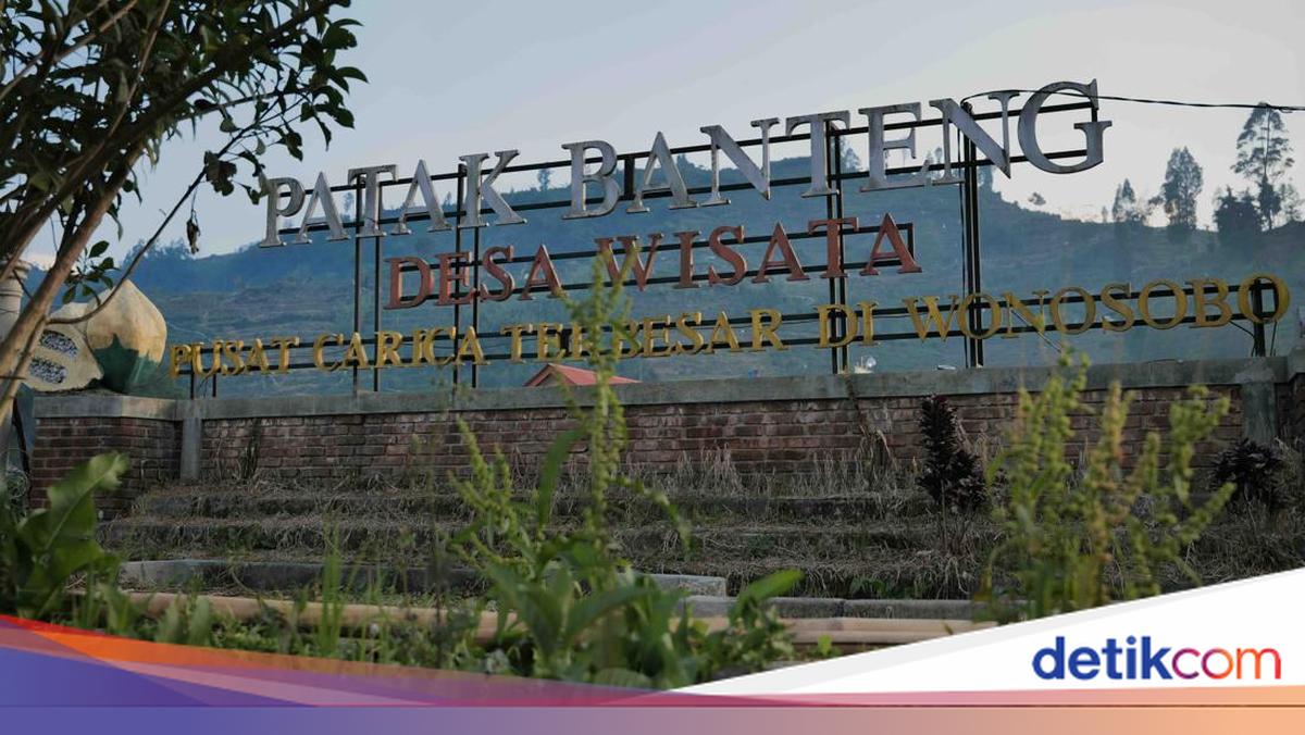 BCA Garap Desa Wisata Dieng via Bakti BCA, Fokus Budaya & UMKM