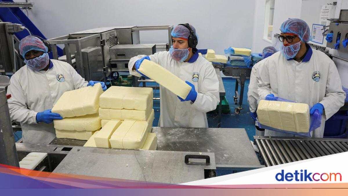 Dari Balok Hingga Keju Parut, Intip Proses Produksi Keju Skala Industri Di Inggris
