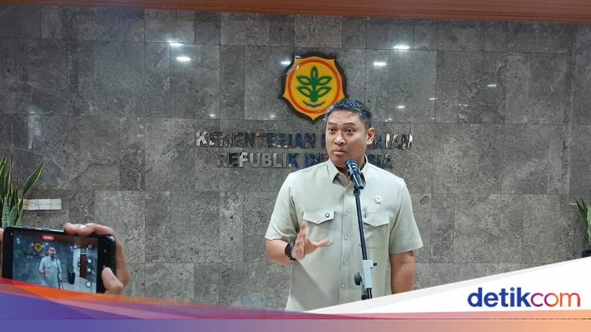 Kejar Swasembada Bawang Putih, Kementan Siapkan Anggaran Hampir Rp 400 M