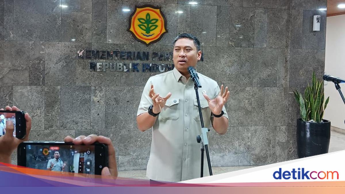 Prabowo Mau RI Stop Impor Bawang Putih dalam 3 Tahun