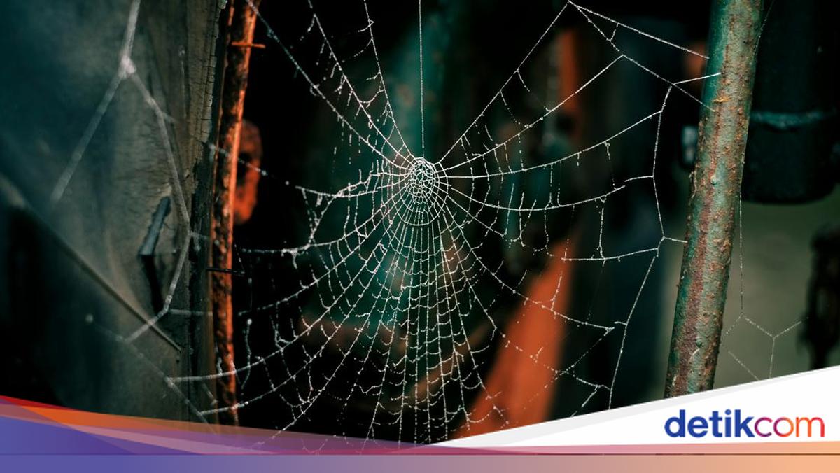 Kamitetep Makan Apa di Rumah? Ini Menu Favoritnya yang Wajib Kamu Tahu!