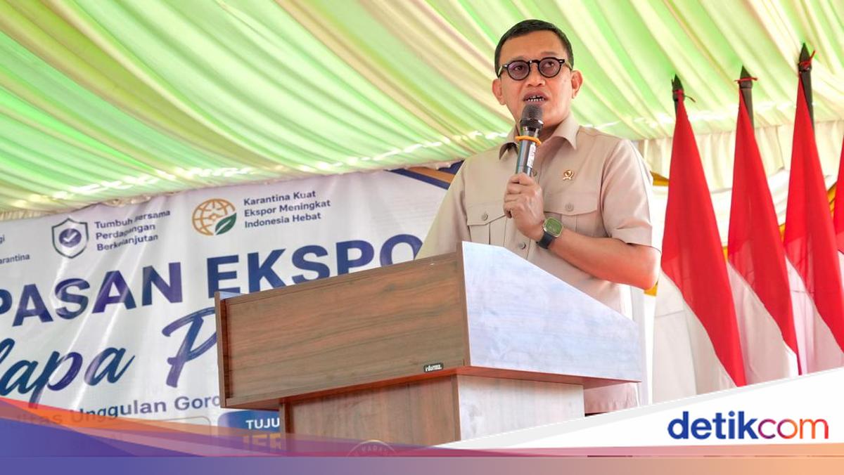 Ekspor Kelapa Parut Gorontalo ke Jerman — Hilirisasi Lokal Tembus Pasar Premium UE