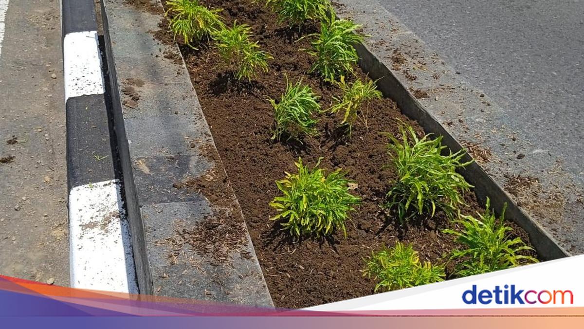 Waduh! Tanaman Hias di Taman Baru Maguwoharjo Jadi Langganan Maling