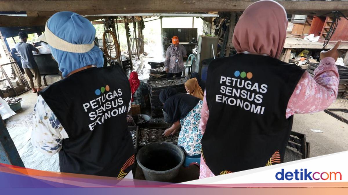 BPS Bantah Sensus untuk Pajak – Risiko Partisipasi UMKM Mengancam Akurasi Data