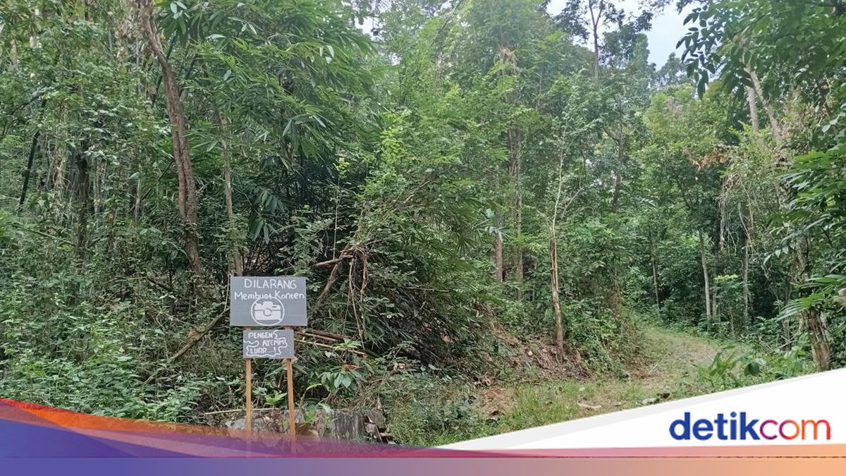 Menyusuri Kampung Mati di Prambanan Sleman Imbas Gempa 2006 Kini Jadi Hutan