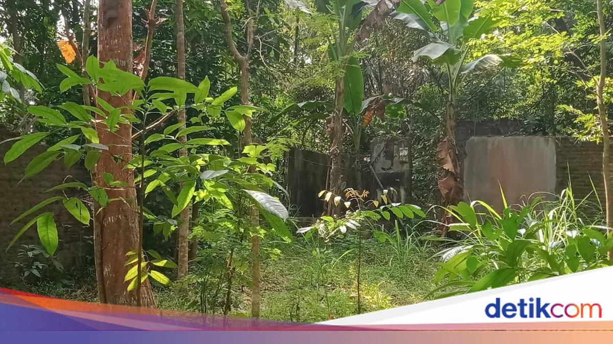 Potret Kampung Mati di Prambanan Sleman, Jejak Bisu Gempa 2006