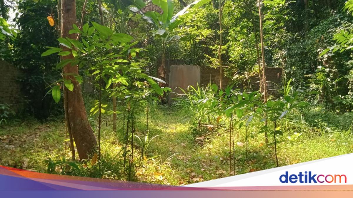 Kampung Mati di Sleman Jadi Langganan Ngonten, Warga Pasang Papan Peringatan