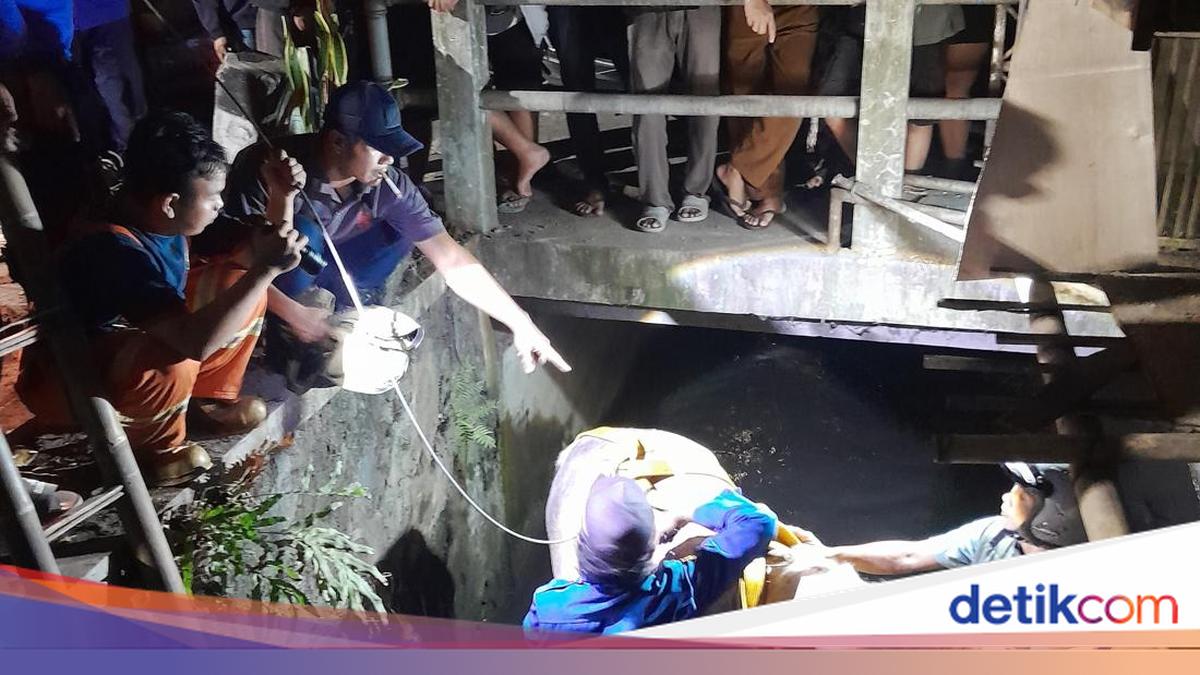 Detik-detik Kuda Andong Nyemplung Selokan di Umbulharjo Jogja Saat Jalan Pulang