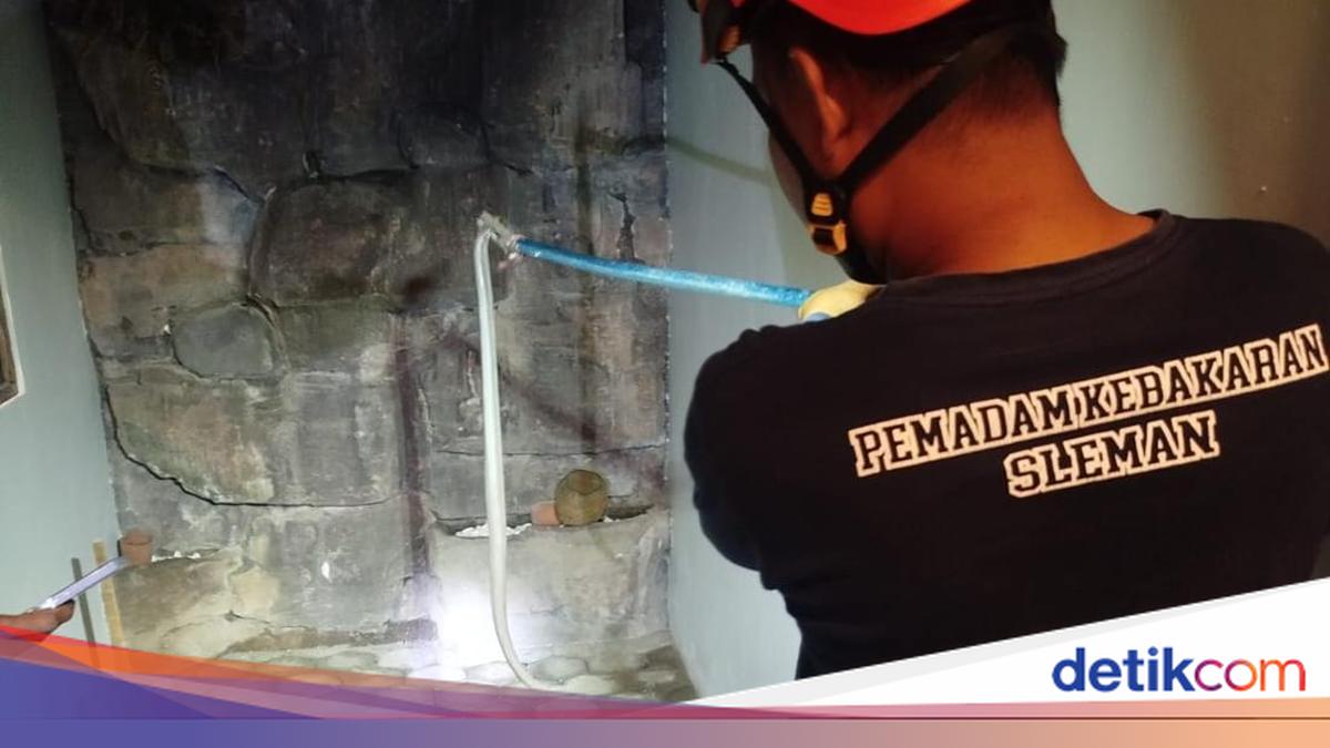 Penampakan Ular Kobra yang Santroni Rumah Eross Sheila on 7