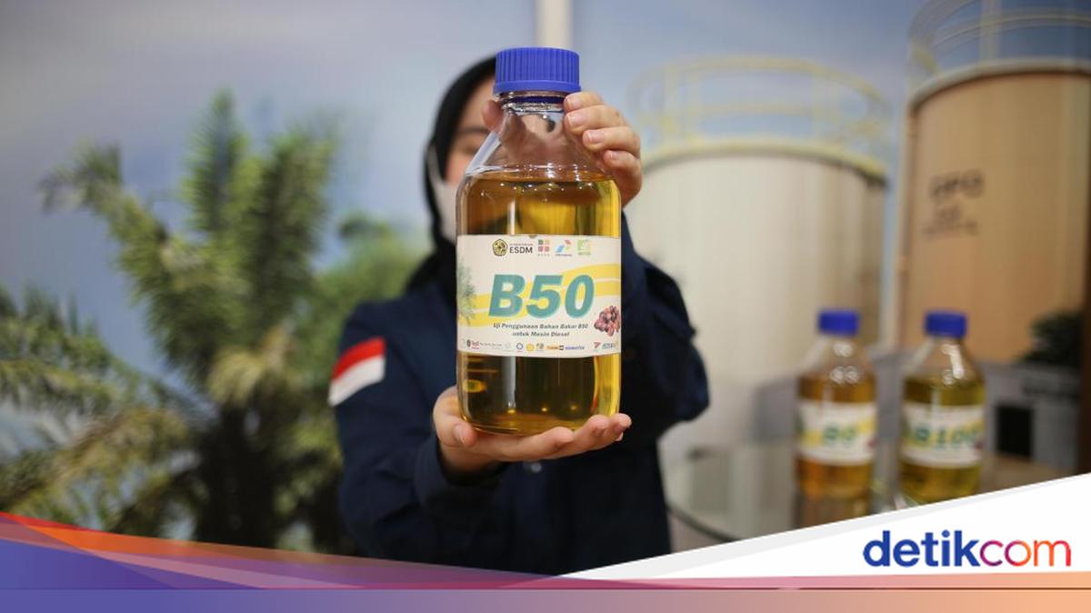 Pengusaha Kapal Tolak B50 Seketika, Minta Uji Coba Bertahap
