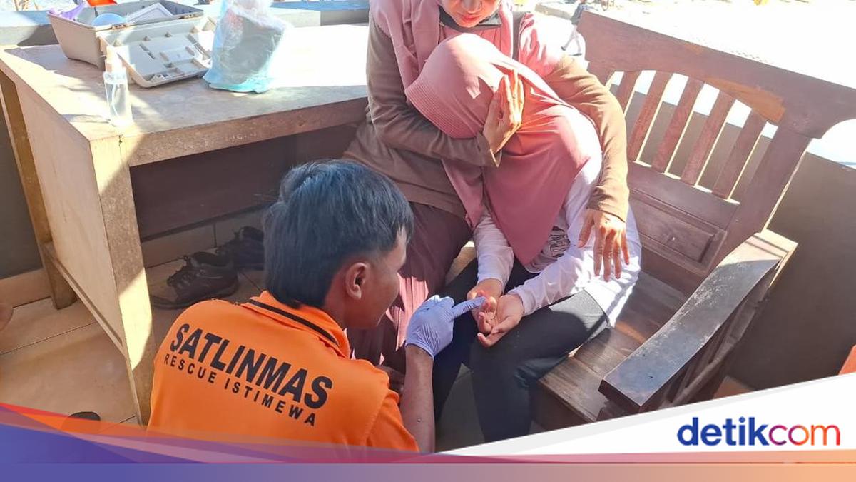 Duh! Korban Sengatan Ubur-ubur di Pantai Gunungkidul Makin Banyak
