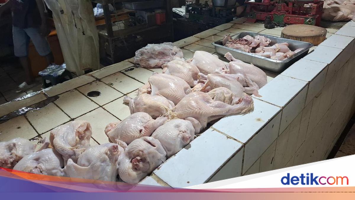 Harga Telur-Ayam di Pasar Beringharjo Turun, Imbas MBG Libur