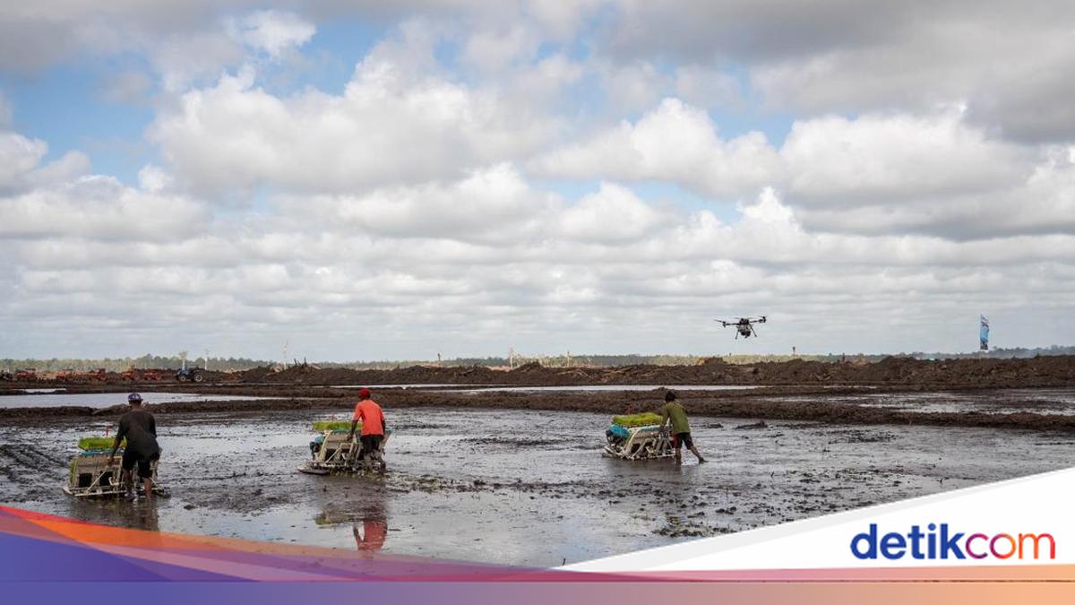 WIKA Garap Infrastruktur Pangan Papua — Progres 27%, Manfaat Jangka Panjang Butuh Waktu