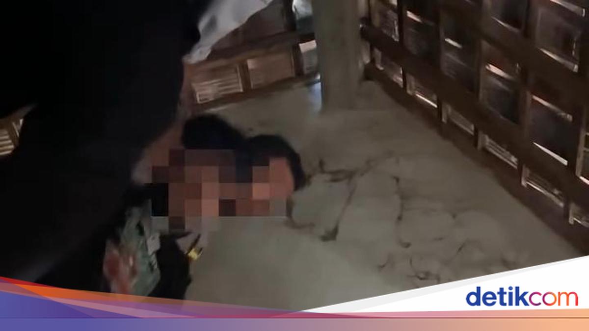 Remaja Bantul Sembunyi di Plafon Saat Mau Dibawa ke Balai Rehab, Ini Ceritanya