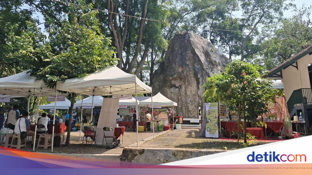 Tragedi di Balik Tradisi Saparan Bekakak Ambarketawang yang Digelar Besok