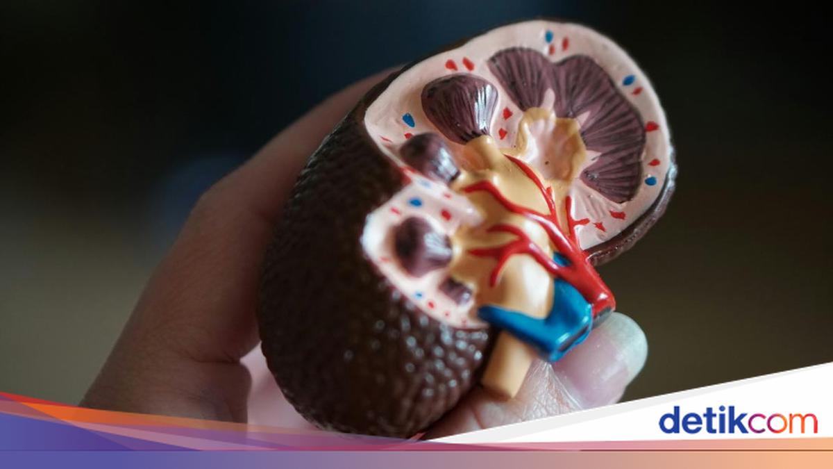 Orang Sakit Ginjal Tidak Boleh Makan Apa? Catat 5 Pantangannya!