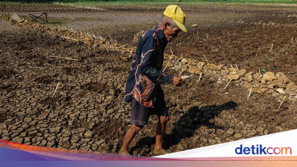 Susah Payah Petani Gunungkidul Dapatkan Air Bersih, Jual Ternak-Kuras Tabungan