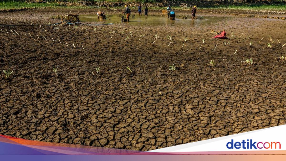 Gunungkidul Kekeringan, BPBD DIY Akui Tak Punya Anggaran Dropping Air Bersih