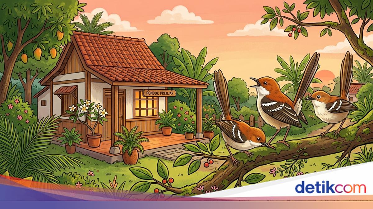 Apa Arti Kicau Burung Prenjak? Ini Mitosnya dalam Primbon Jawa!