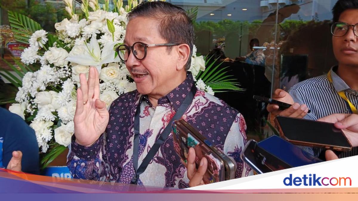 Freeport Pindah Produksi Kucing Liar ke 2029, IUPK Jadi Kunci