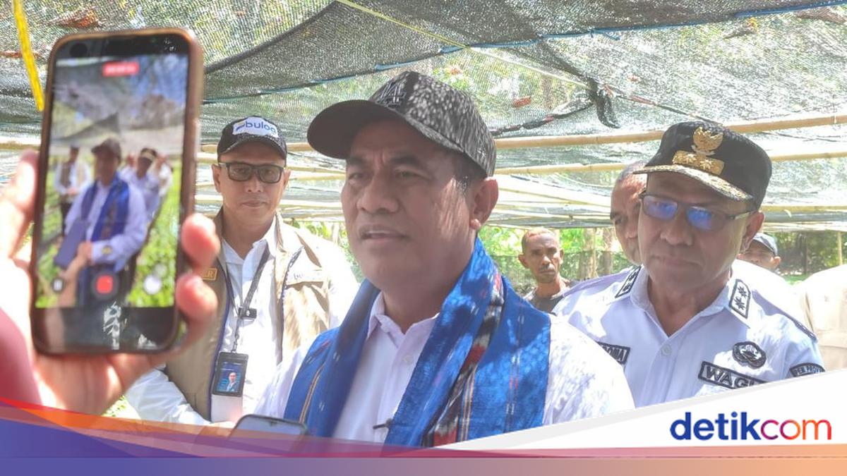 Beras Alor Turun ke Rp13.000 — Mentan Perintahkan Bulog Operasi Pasar