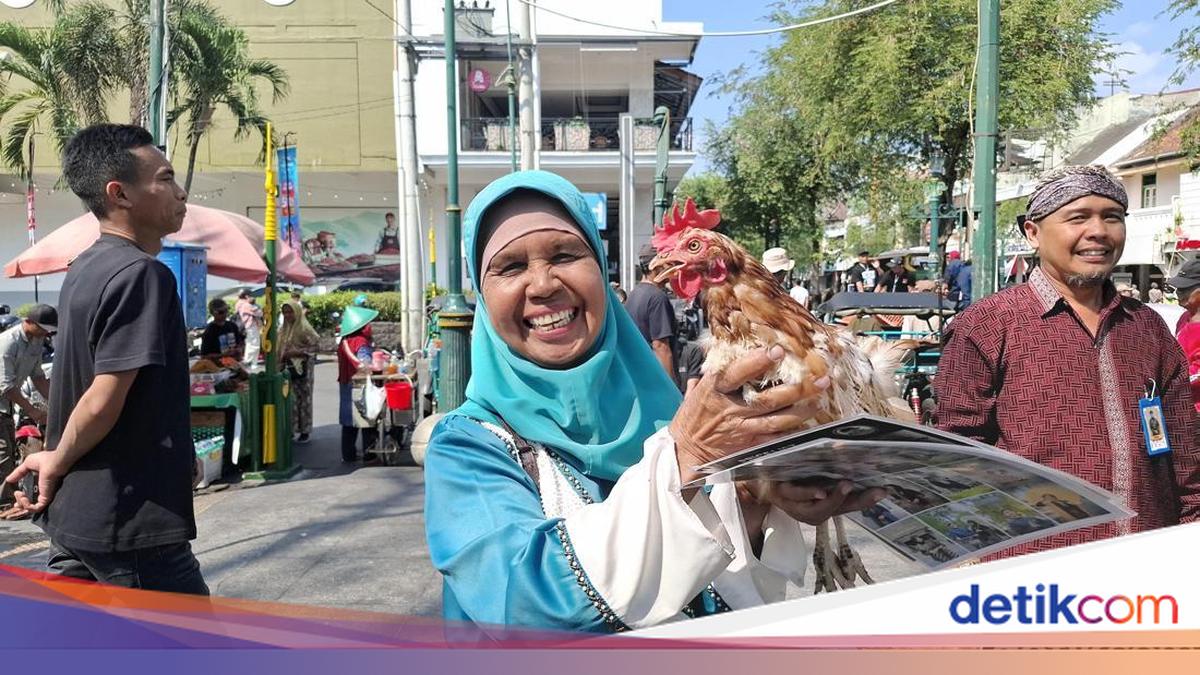 Protes Harga Telur Anjlok, Peternak DIY Bagi-bagi Ayam di Malioboro